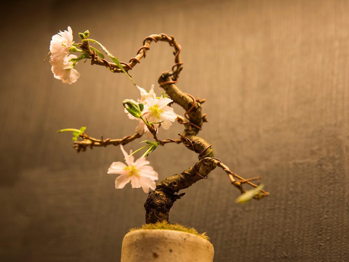 Uan Kanazawa Ngoại thất bức ảnh